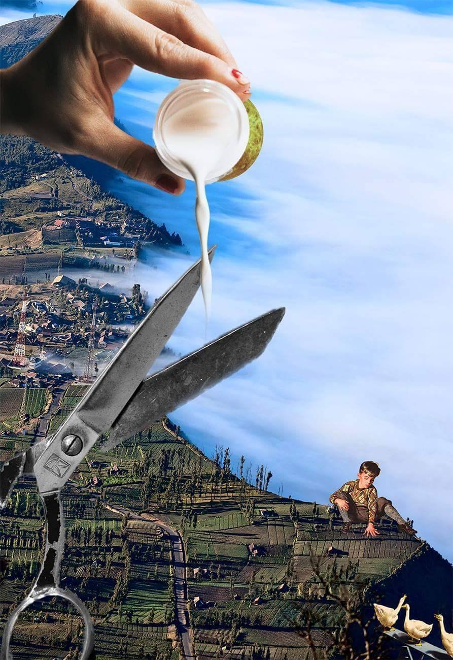 Untitled, digital collage